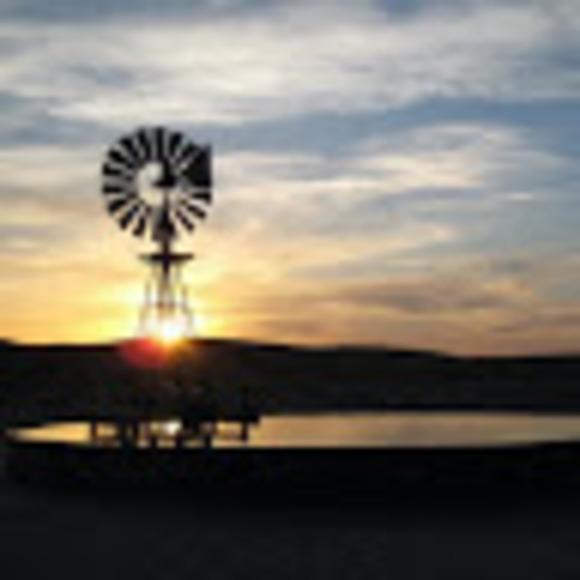 Meet your Posher, Shalee - Picture 1 of 1